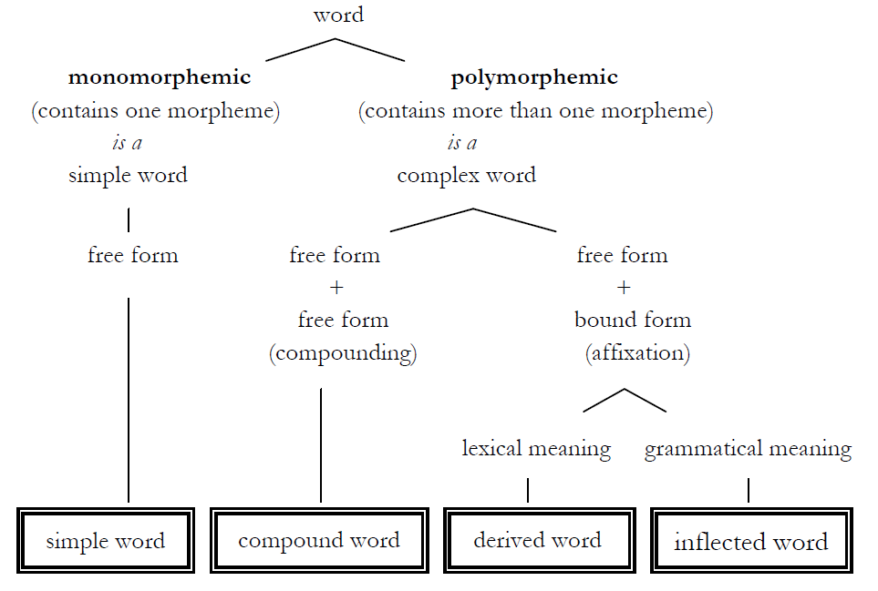 assignment on word formation