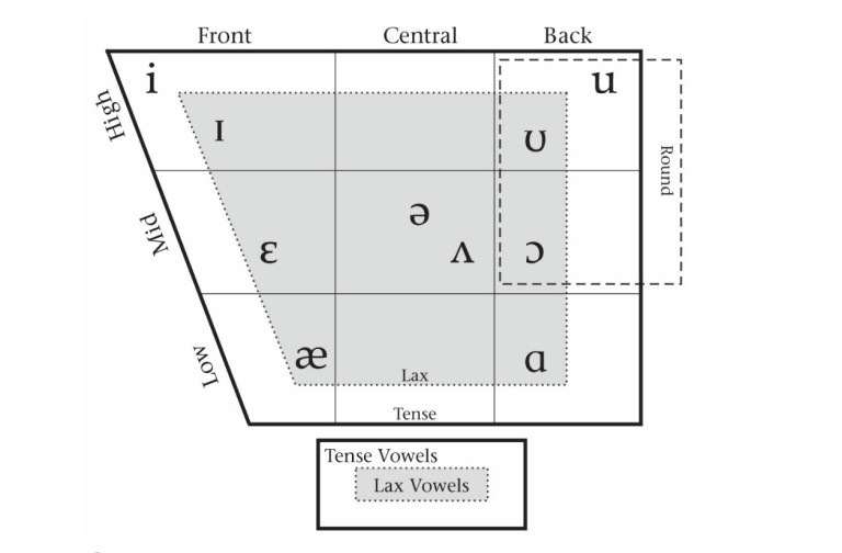 Describing vowels engl6360 descriptive linguistics for teachers