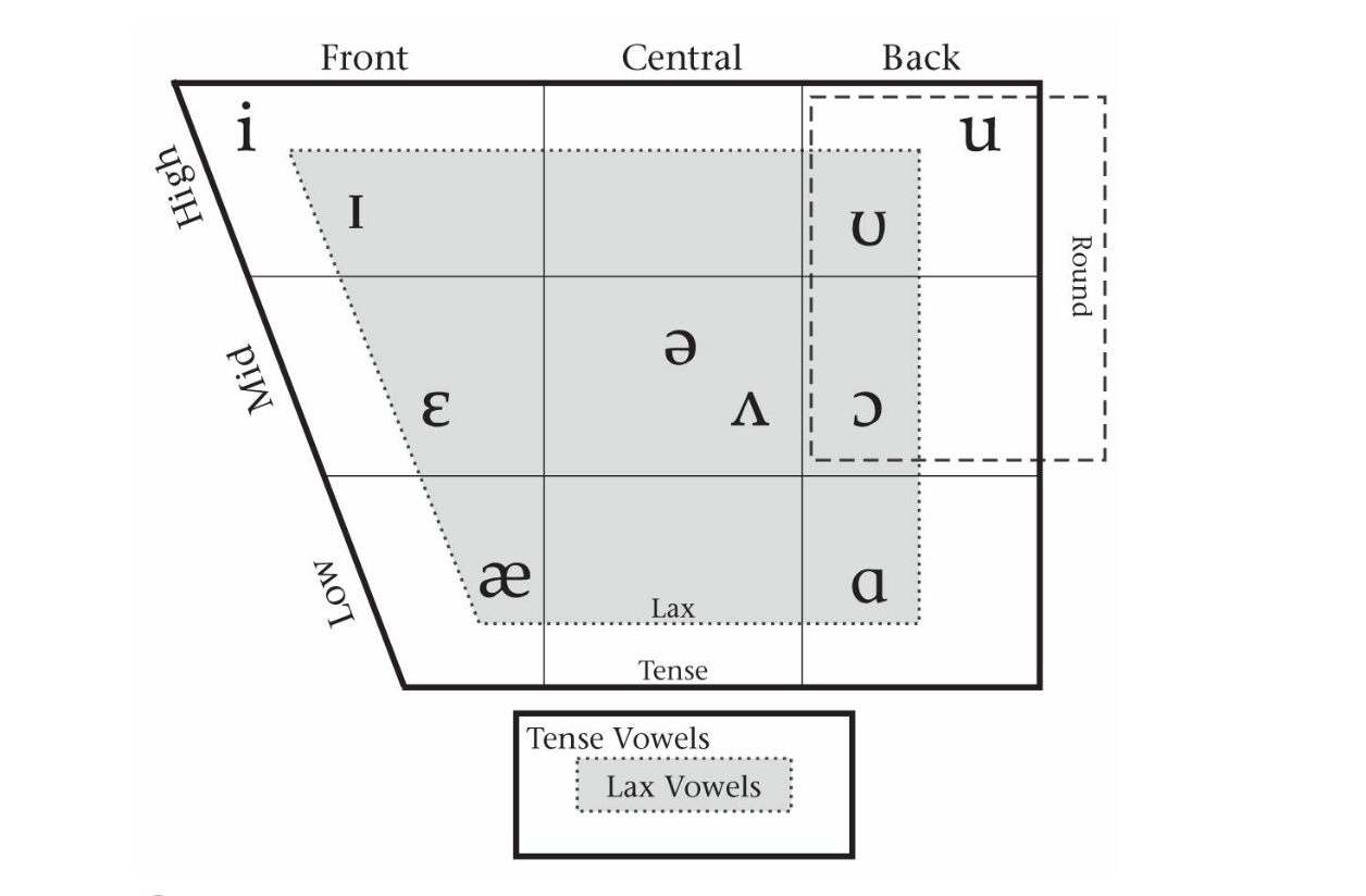 Describing Vowels – ENGL6360 Descriptive Linguistics for Teachers