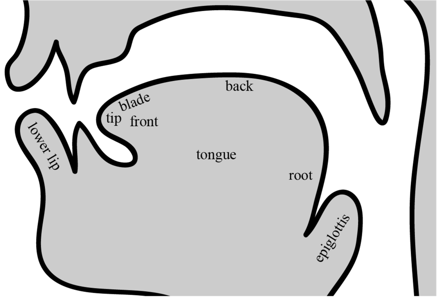 articulation-vs-phonology